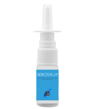 XEROSYL-H
