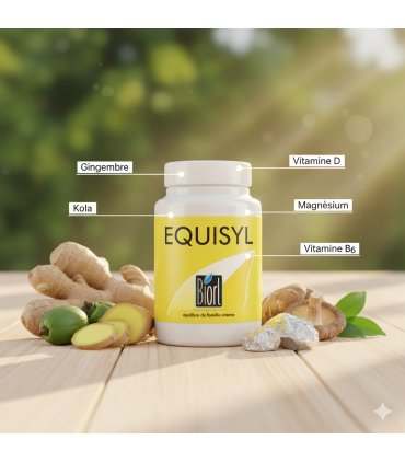 EQUISYL - FORMULE INNOVANTE VERTIGES ET EQUILIBRE OREILLE INTERNE