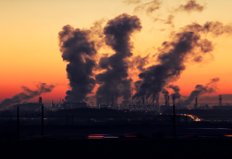 la pollution de l’air tue