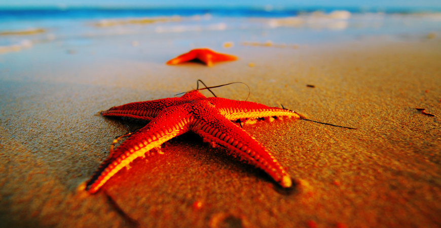 L'eau de mer : quand la nature vous offre le meilleur pour votre Santé !