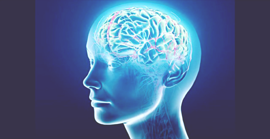 Le processus pervers de l'acouphène dans le cerveau