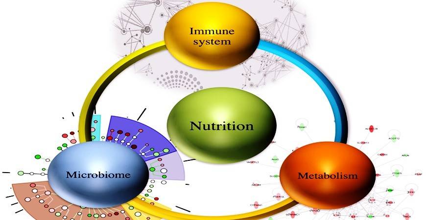 Le kefir, un probiotique aux multiples vertus pour booster votre immunité