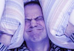 Bruit : sensibilité, sensation et perception auditive