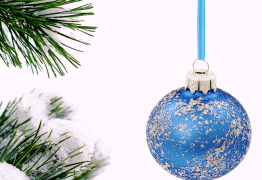 Les allergies de Noël : un cadeau inattendu...