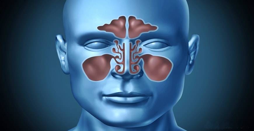 7 Conseils pour soulager une sinusite naturellement