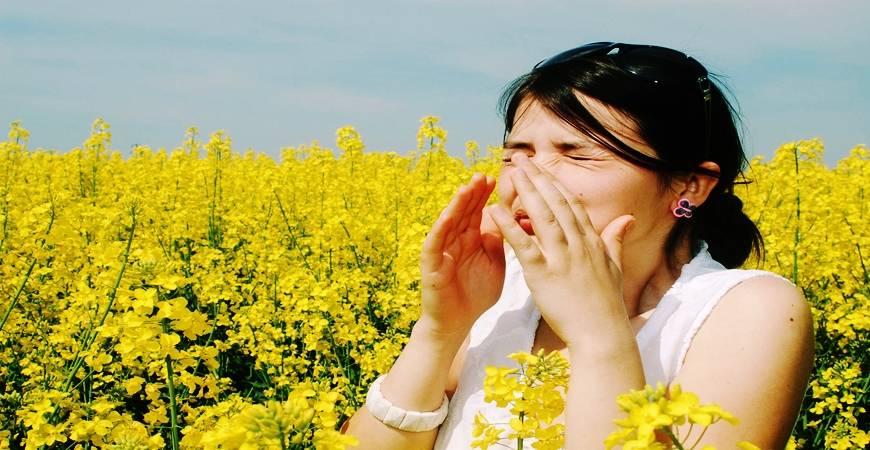 Un espoir pour les yeux qui piquent et les nez qui coulent...