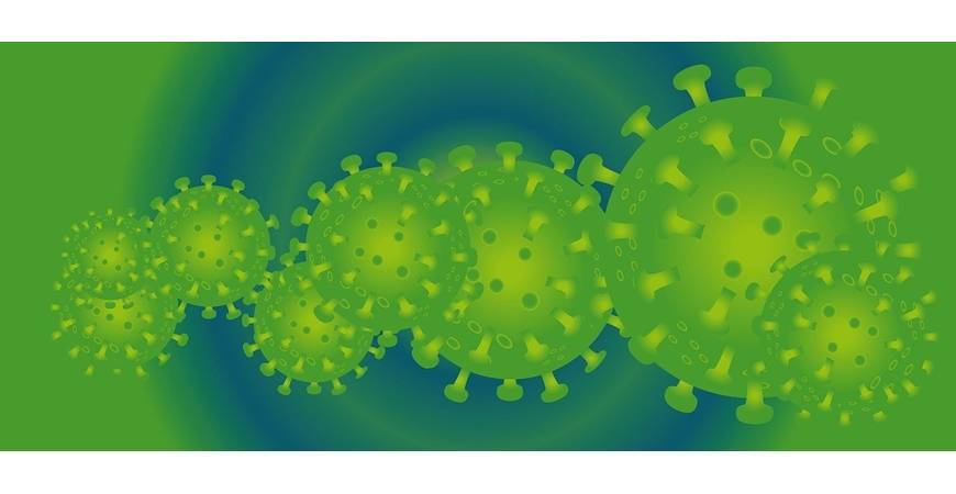 Tous les secrets du système immunitaire