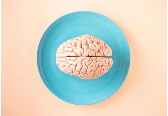 Neurotransmetteurs et acouphènes : comprendre le lien pour mieux agir naturellement