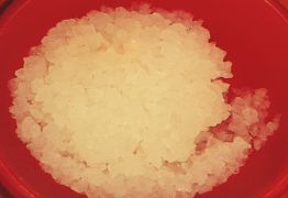 Le Kéfir : source de probiotiques naturels