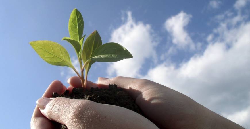 La Phytonutrition : de quoi s'agit-il ?