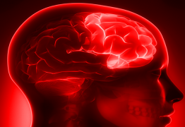 Acouphènes et émotions : Ce n’est plus « dans votre tête » mais bel et bien dans votre cerveau !