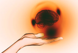 Quelle est l'implication du cerveau dans la perception de vos acouphènes ?