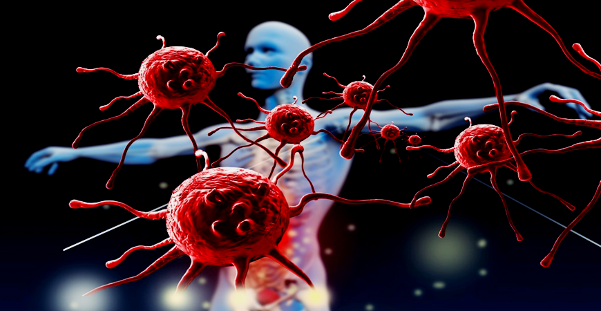 Comprendre notre système immunitaire