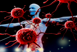 Comprendre notre système immunitaire